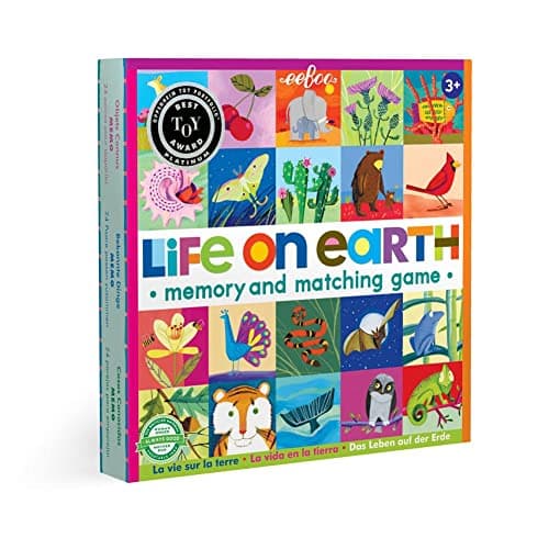 eeBoo Memory and Matching Game Life on Earth 24 Pairs Develops Recognition Concentration Memory Vocabulary Skills Age 3
