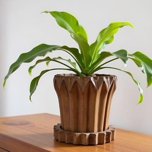 Lasaki Flory Antique with Tray Celty Antique Ceramic Pots with Tray | Flower Planter for Indoor & Outdoor Plants | Pots for Balcony, Home, Garden & Office (Pot_H-14 X D-15 Cm & Plate_H-2.5xD-14.5cm)
