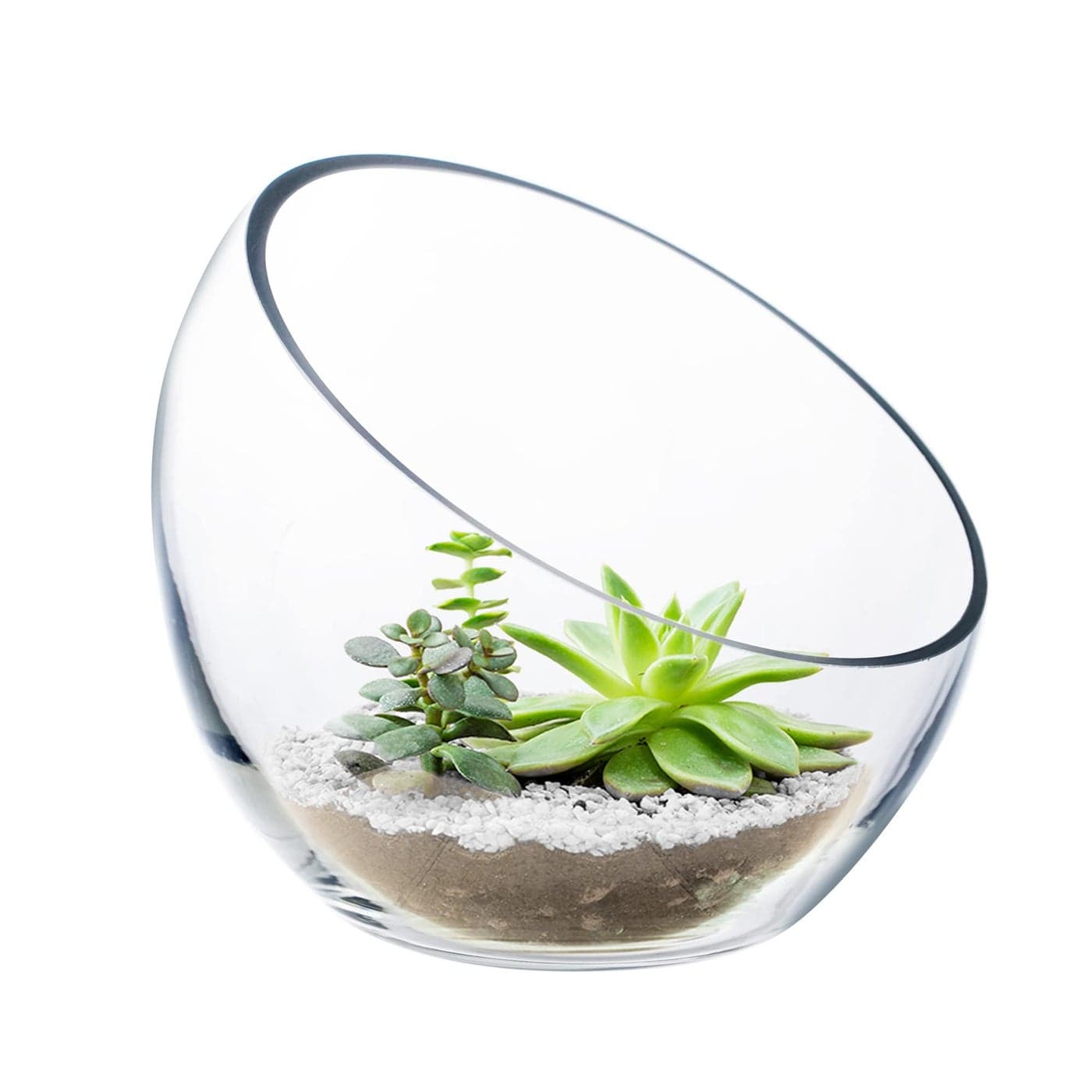 CYS EXCEL Glass Slant Cut Bubble Bowl H6 W7 Clear Flower Vase Globe Bowl Terrarium Round Planter Decorative Centerpiece