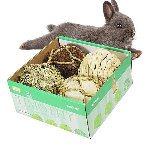 andwe Small Animals Play Balls Rolling Chew Toys Gnawing Treats for Rabbits Guinea Pigs Chinchilla Bunny Degus Pet Cage Entertainment Accessories Pack of 4