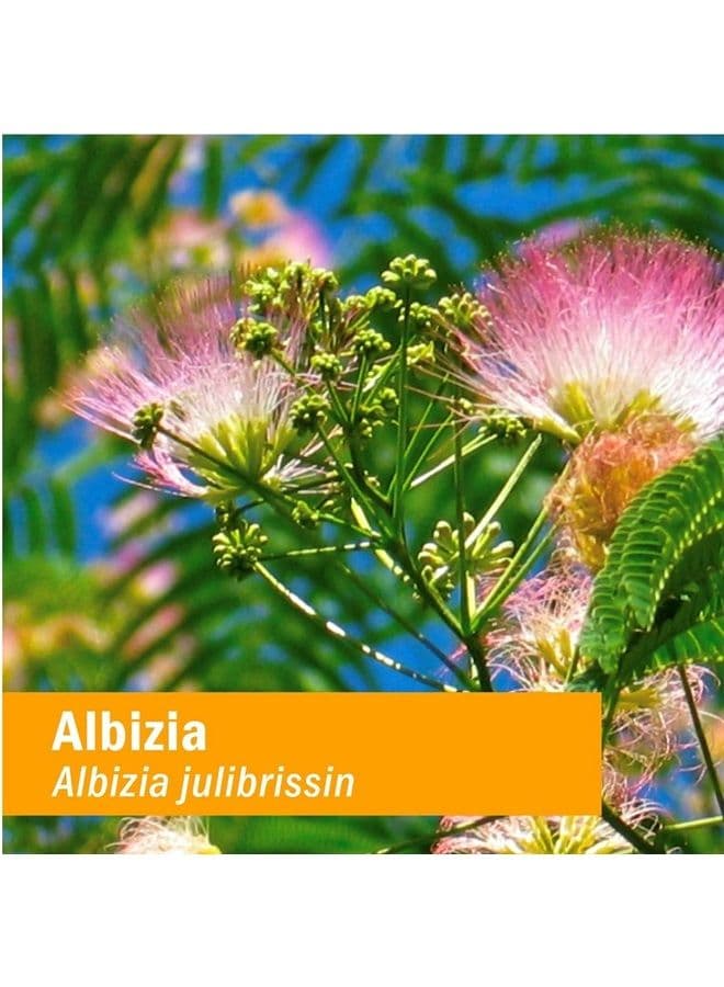 Albizia Liquid Extract for Nervous System Support - 4 Ounce