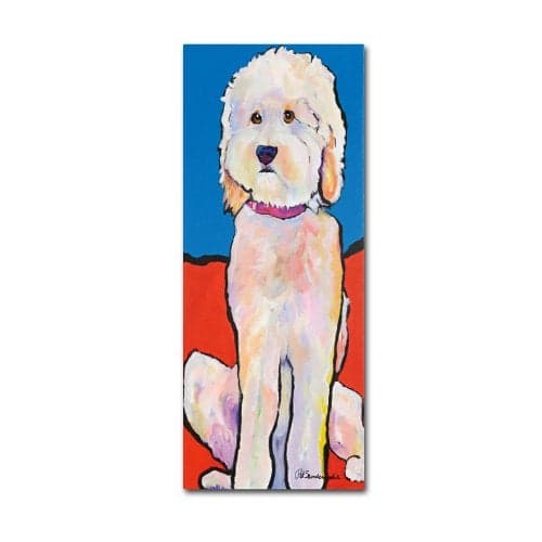 Trademark Fine Art What No Diamonds Canvas Wall Art by Pat Saunders, 10 by 19-Inch