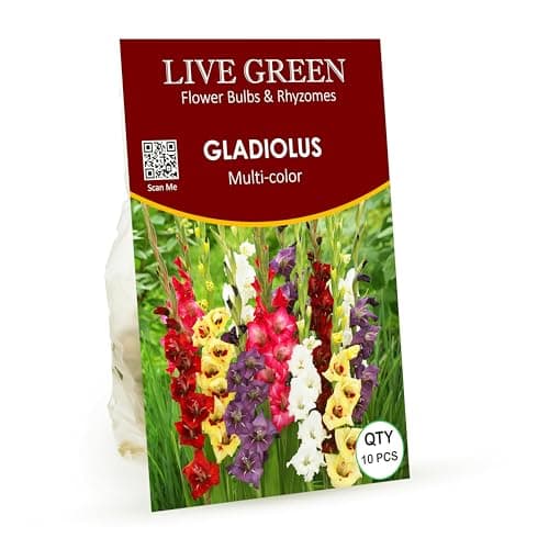 LIVE GREEN Gladiolus Double Petal Mixed Imported Flower Bulbs - Pack of 10