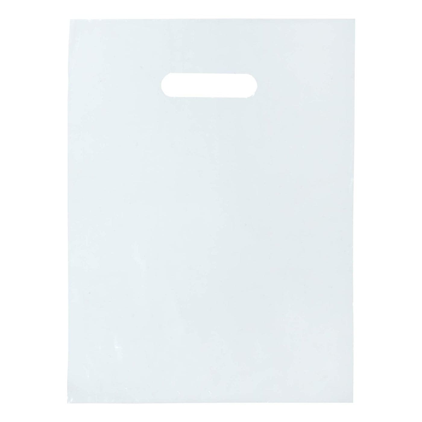 100 Clear Plastic Bags with Handles 12x15 Glossy Retail Shopping Bags for Small Business Boutique Gift and Trade Show