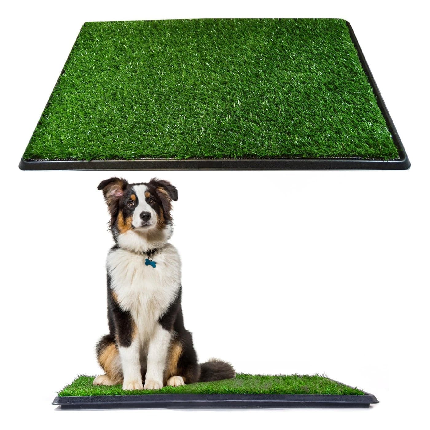 Downtown Pet Supply Dog Grass Pad with Tray 20 x 30 Outdoor and Indoor Potty System for Dogs with Replaceable Synthetic Grass Pee Turf Portable and Waterproof Turf Dog Potty
