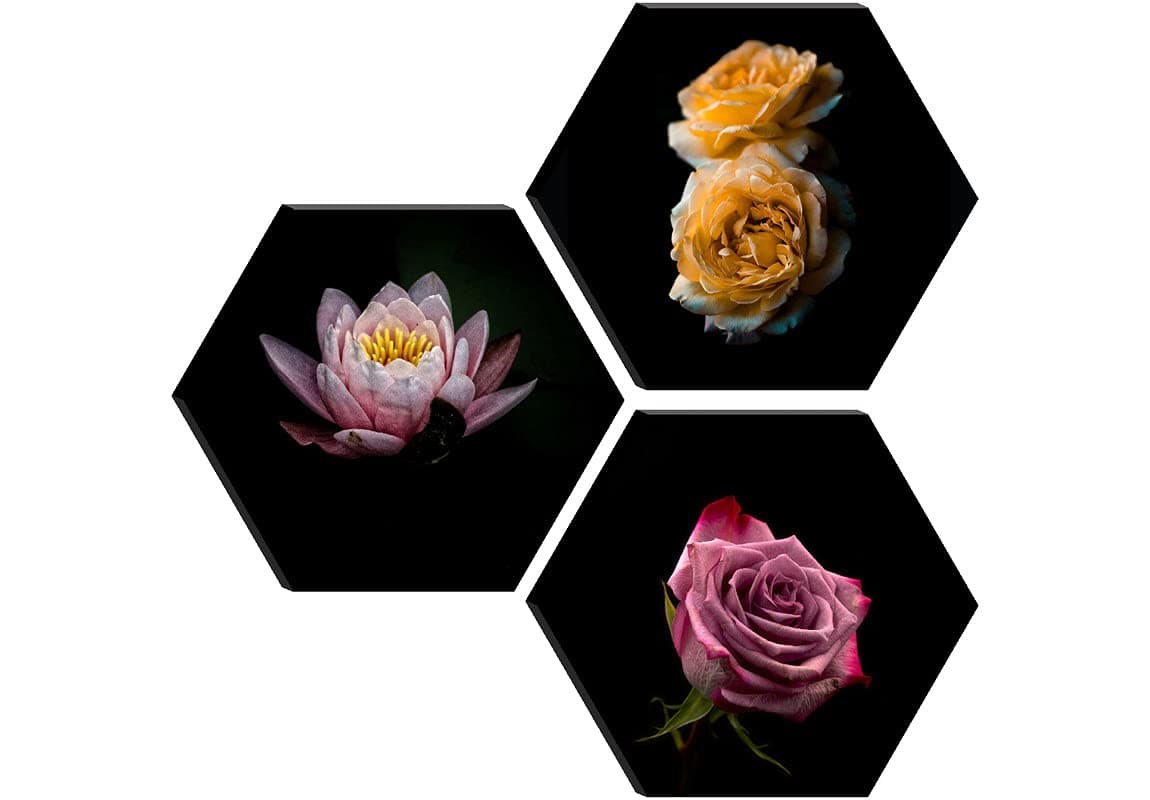 SAF paintings SET OF 3 HEXAGON MODERN ART Embossed Painting 17 Inch X 17 Inch SANFHXS30532