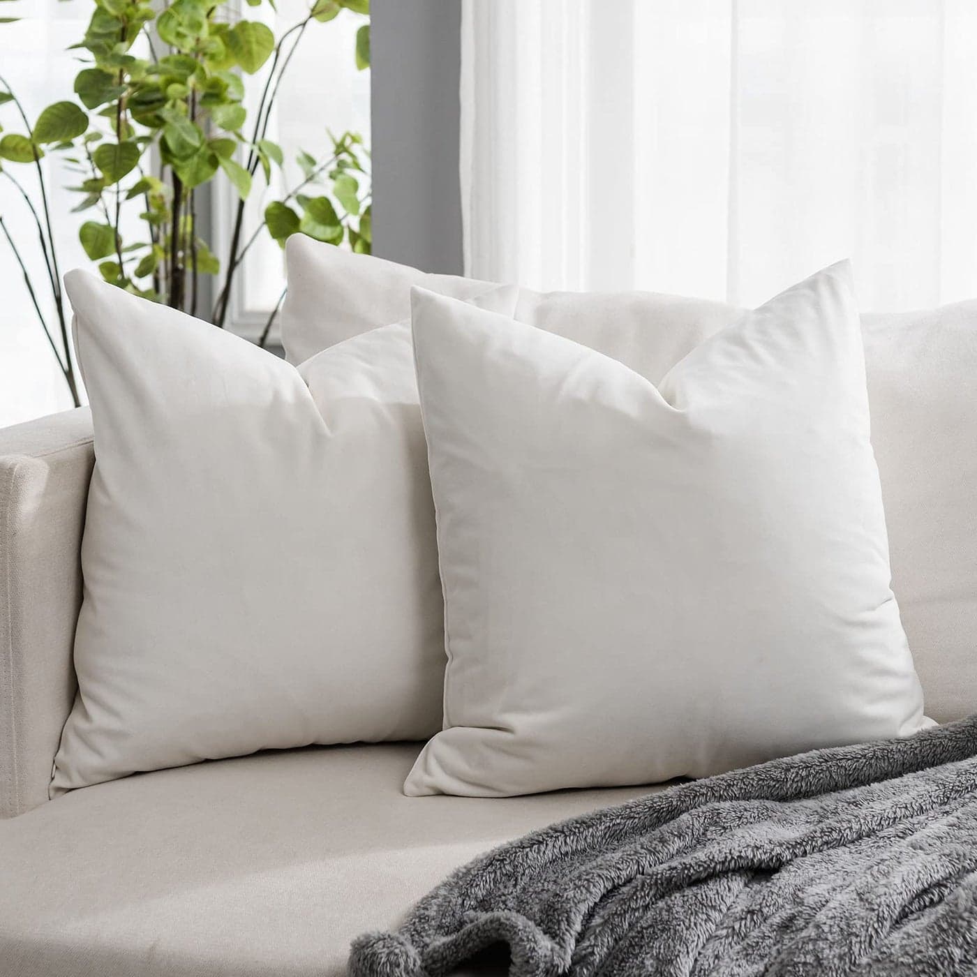 QUAFOO Cream White Couch Velvet Throw Pillow Covers 24x24 inch Set of 2 with Zipper Decorative Luxury Soft Solid Rectangle Cushion Covers Case for Sofa Bed Living Room Car