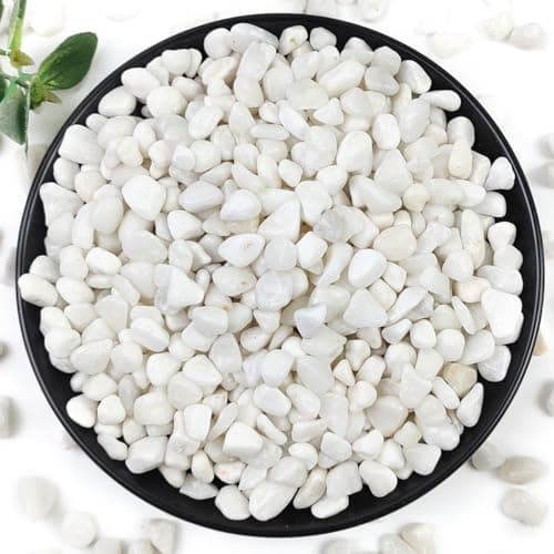 YISZM 2LB Succulent and Cactus Gravel Pebbles 38 Inch Natural Decorative Polished Stones River Rocks for Plants Vases Aquariums Terrarium and Outdoor Gardening White