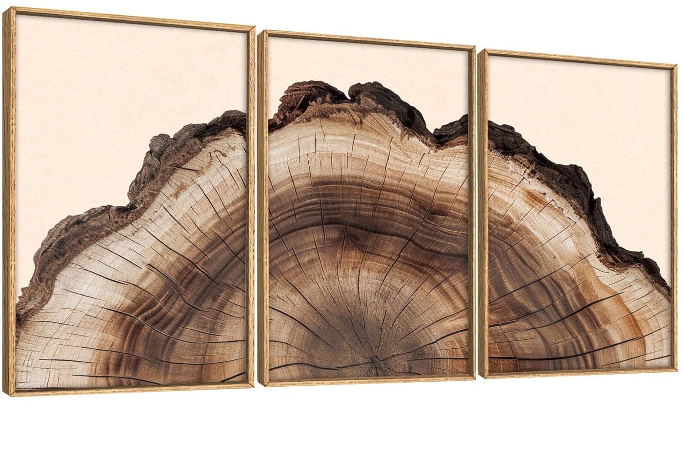 KAIRNE Framed Tree Ring Wall Art Set, Retro Wood Stump Wall Decor, Tree Spiral Wall Painting, Modern Nature Canvas Art Prints for Living Room, Bedroom, Dinning Room, Farmhouse - Large 16"x24"x3