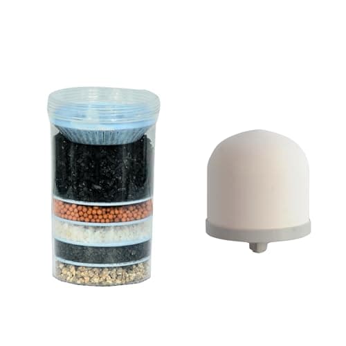 RiverSoft Purestream Activated Carbon Ps-Cdm-C5 Replacement Cartridge for Mineral Water Purifiers | Non-Electric and Chemical Free | Counter Top (Pack of 1),Multicolor
