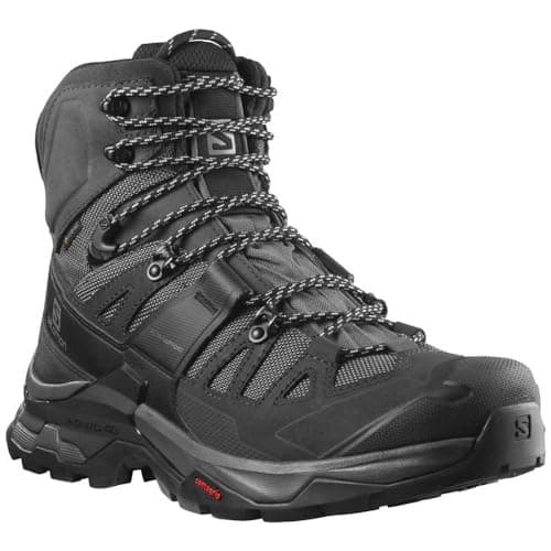 Salomon Men's QUEST 4 GORE-TEX Hiking Boots For Men, Magnet/Black/Quarry, 11