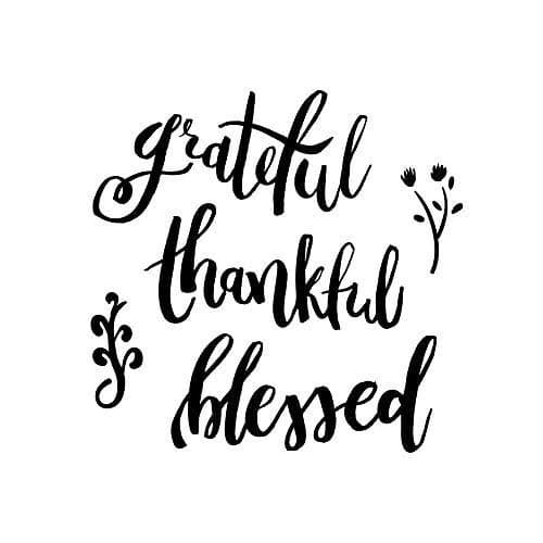 5 Ace greatful thankful Wall Sticker Poster|size:12x18 inch|multicolor