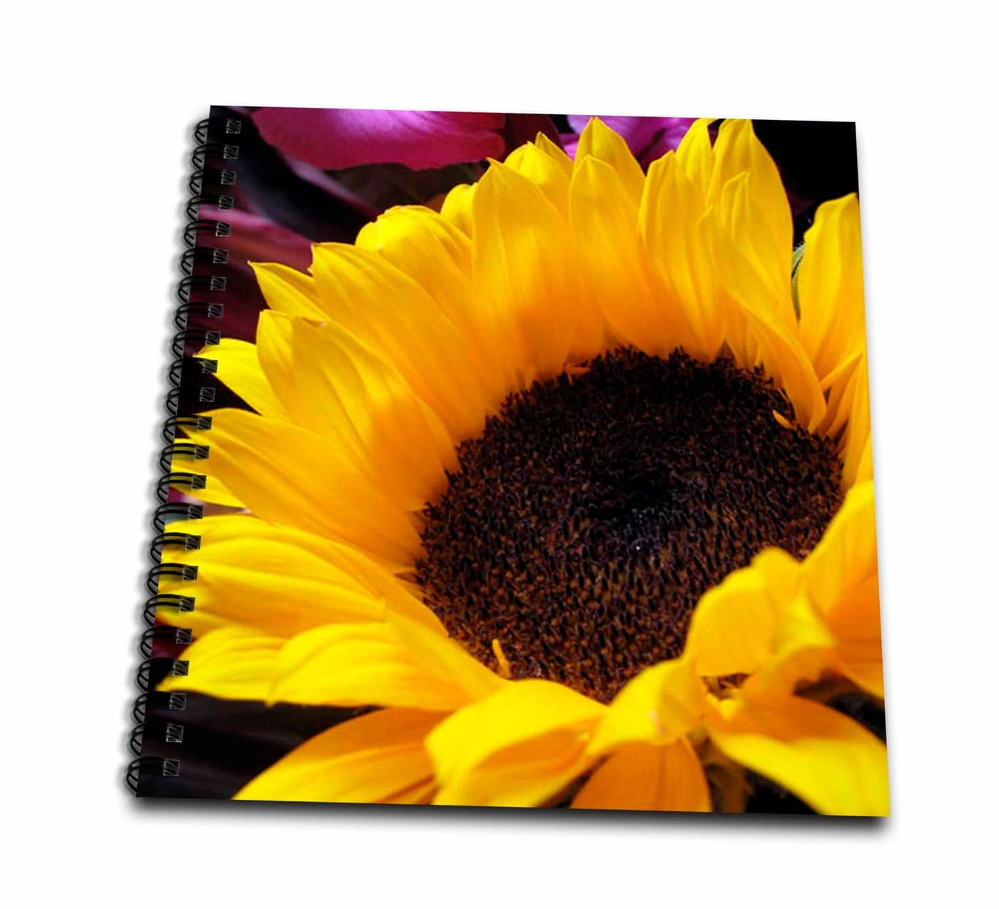 3dRose db_17237_2 Sunflower-Memory Book, 12 by 12-Inch