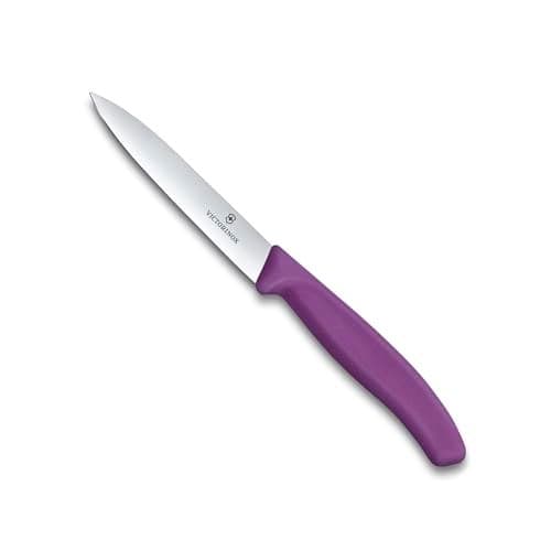 Victorinox Swiss Made Stainless Steel Swiss Classic Paring Knife, Kitchen Tools & Items, 10 cm, Straight Edge, Purple | Multipurpose Knife 6.7705.C1
