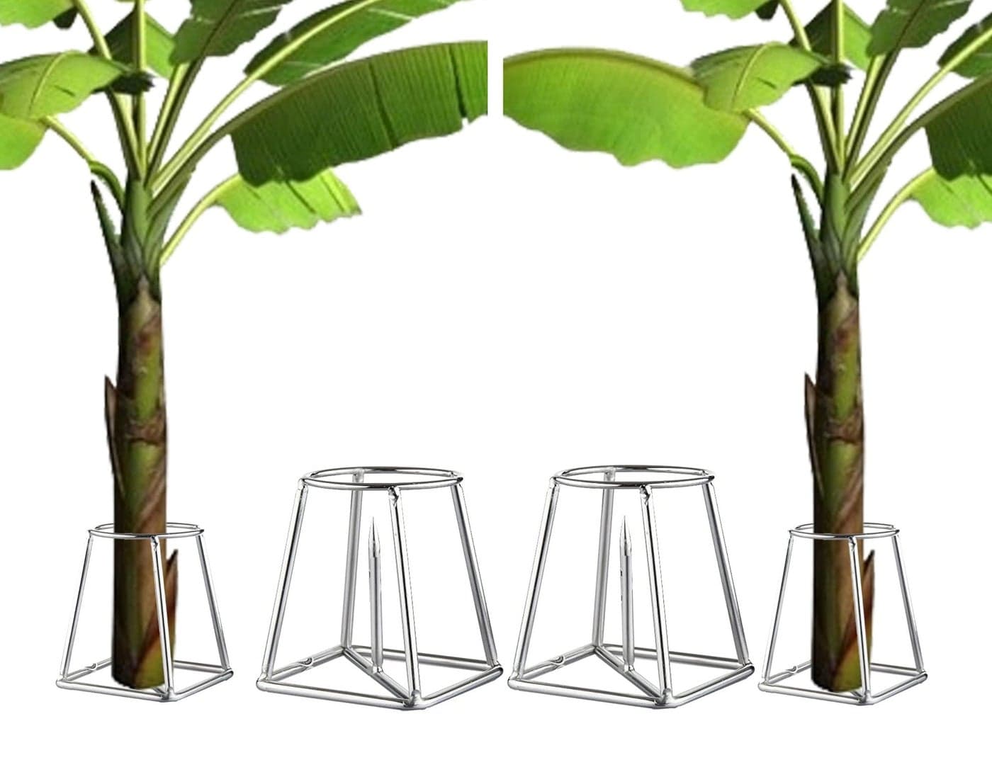 ROLLYWARE Heavy Stainless Steel Decorative Banana Plant Stand for Ideal for Placing The Banana Plant/Tree/stem Stand for puja/Religious and Other Ceremonies Banana Leaf Stand for Pooja,Pack of (6)