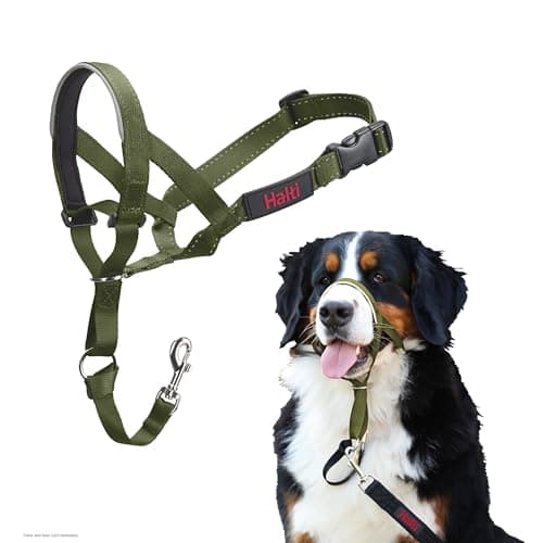 Halti Headcollar - Stop Your Dog Pulling on the Leash. Adjustable, Reflective and Lightweight, with Padded Nose Band. Dog Training Anti-Pull Collar for Large Dogs (Size 4, Forest Green)