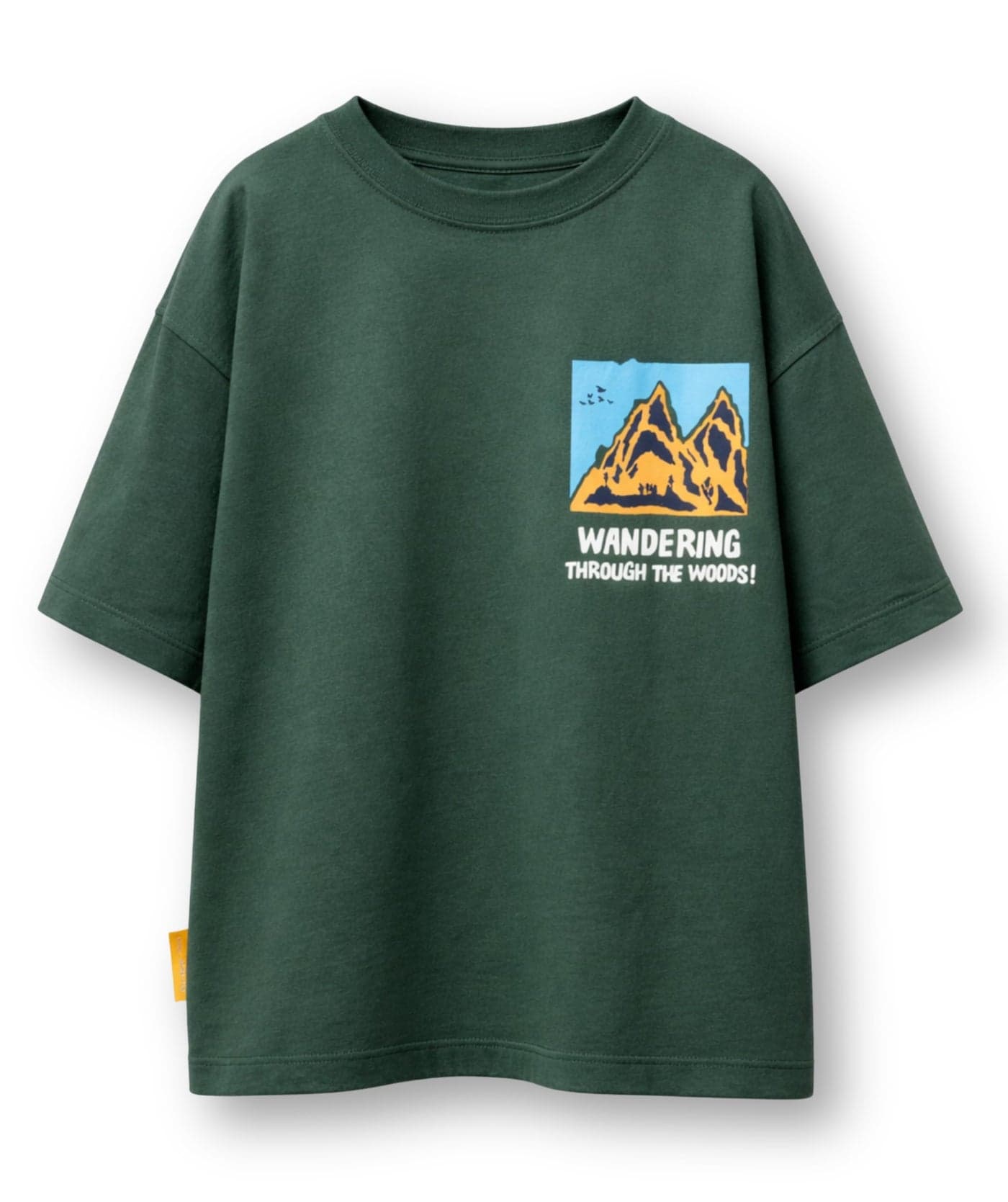 Alan Jones Clothing Boys Oversized Cotton Printed T-Shirt | Round Neck, Short Sleeves, Casual Wear (Green_7-8 Years)
