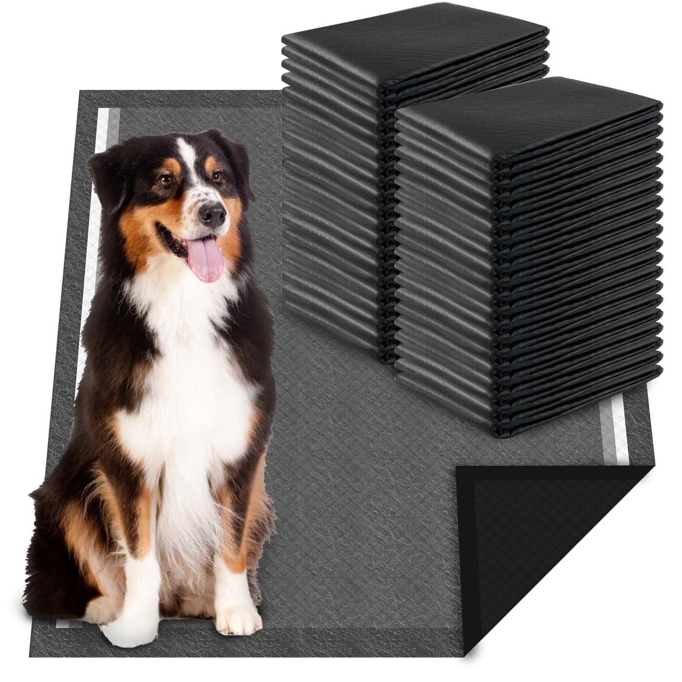 Dogcator Charcoal Puppy Pads Extra Large Activated Charcoal Dog Pee Pads XLarge Odorless Potty Pads for Dogs 28x34 40 Count XL Disposable Puppy Pads Pet Training Pads for Housebreaking