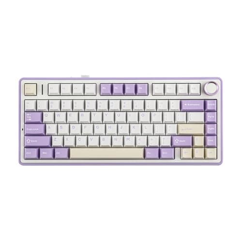 EPOMAKER x Aula F75 Gasket Mechanical Keyboard, 75% Wireless Hot Swappable Gaming Keyboard with Five-Layer Padding&Knob, Bluetooth/2.4GHz/USB-C, RGB (Purple, LEOBOG Reaper Switch)