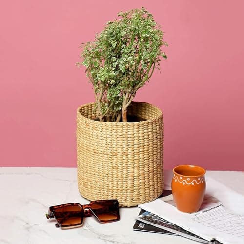 Habere India-All The Cultures Fabricating India Jute Planter Basket | Cane Baskets For Storage | Clothes Storage Basket | Baskets for plants - Round (Small: 18.5x19 cm)