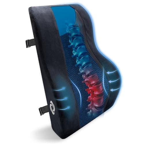 Samsonite Lumbar Support Pillow – Ergonomic Back Rest for Office Chair & Car Seat, Memory Foam Cushion for Lower Back Pain Relief, Breathable Mesh, Adjustable Strap, Black/Blue Mesh
