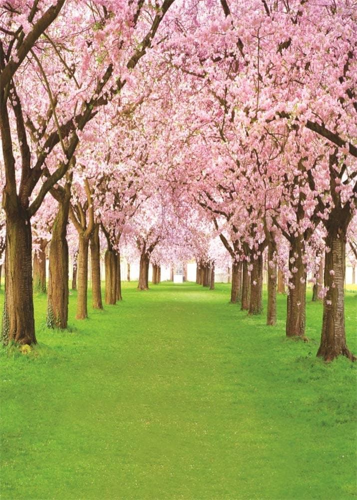 AOFOTO 5x7ft Spring Cherry Flower Photography Backdrop Pink Cherry Blossoms Green Grassland Garden Park Nature Scenery Background Floral Trees Pathway Road Kids Girls Birthday Photo Shoot Props