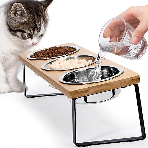 Elevated Cat Bowls for Food and Water Loplurea 15 Tilted Raised 3 Stainless Steel Cat Food Bowl Feeder with Bamboo Stand and Anti Vomit Feeding Station for Indoor Kittens and Pet