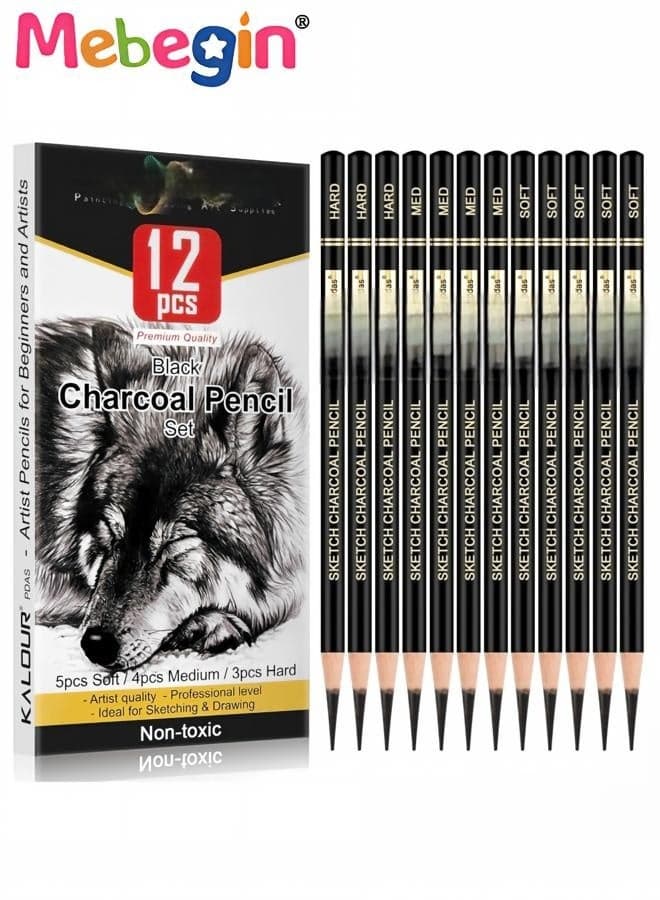 12PCS Professional Black Charcoal Pencils Set, Assorted Hard Medium Soft Charcoal Drawing Pencils, Non-Toxic Shading Pencils for Portrait Sketching, Artist Drawing, Comic Illustration and Fine Art Creation