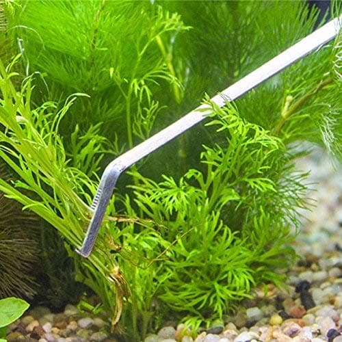 Sage Square Aquarium Tongs Tool - Professional Stainless Steel Long Size Aquarium Tongs for Fish Tank, Aquatic Plant Cleaning, Aquascape, and Aquarium Maintenance (Design 1)