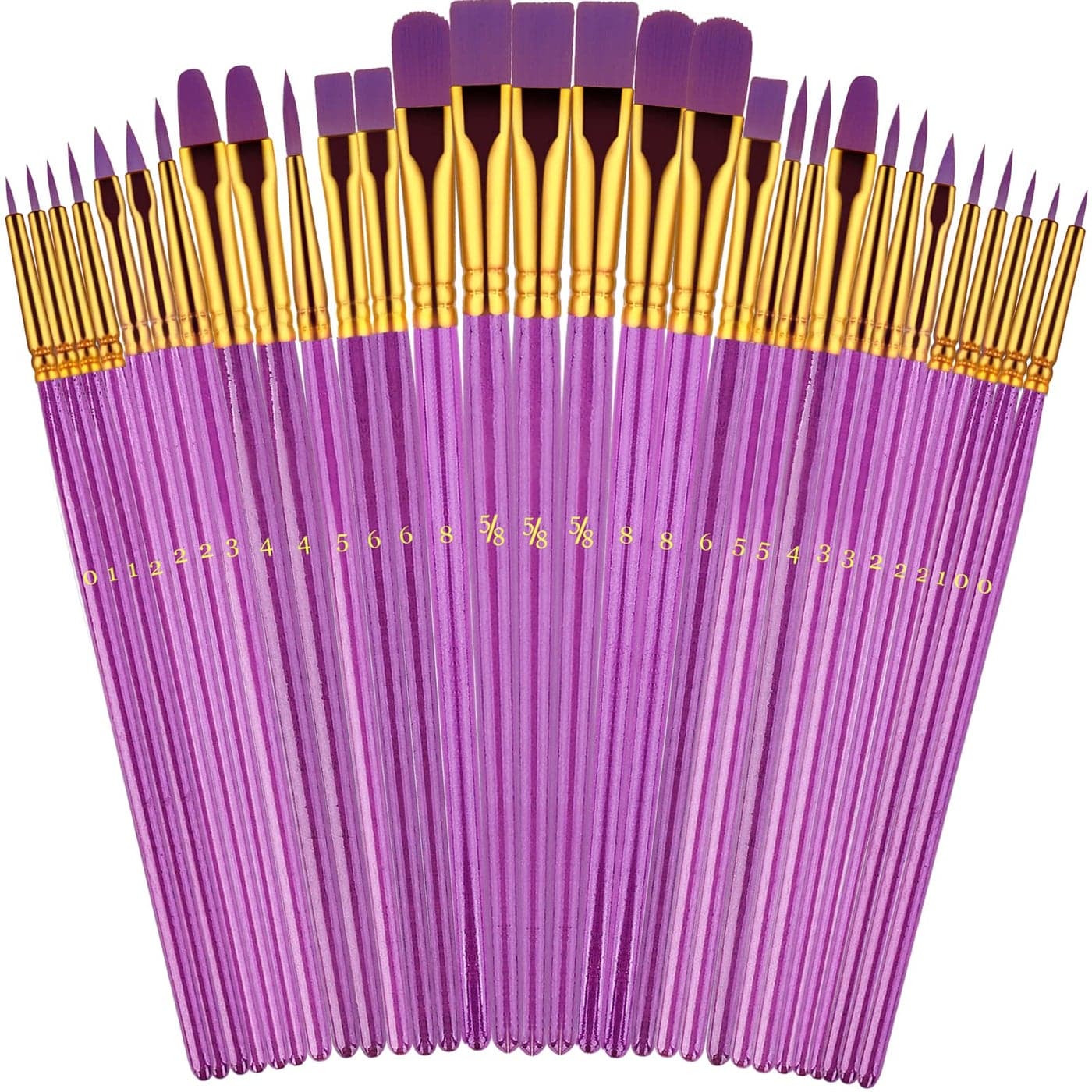 Paint Brushes Set 30 Pcs Paint Brushes for Acrylic Painting Watercolor Acrylic Oil Paint Brush Artist Paintbrushes for Body Face Rock Canvas Kids Adult Drawing Arts Crafts Supplies Purple
