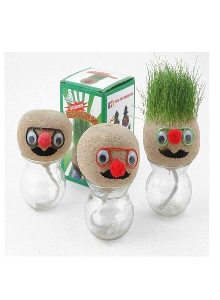 Pack of 3 Grass Head - Funny Fast Growing Grass Head Growing Grass Head Education Toys Grass Head Dolls Children Kids Craft DIY Gifts