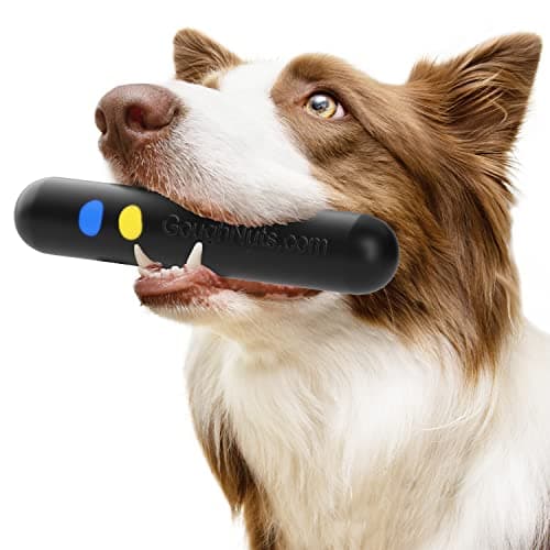 Goughnuts Toys for Aggressive Chewers Heavy Duty Virtually Indestructible Dog Toy Stick for Medium Breeds Such as Pit Bulls Black