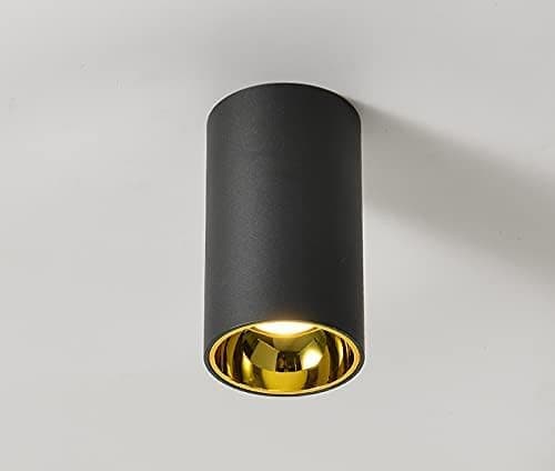 CITRA 12W LED Indoor Outdoor Ceiling Lamp Round Drum Cylinder Black Gold Wall Light 3000k (Warm White)