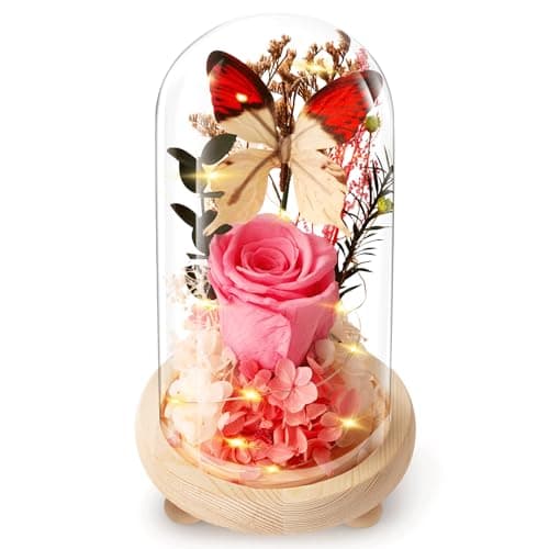 JIGQGY Forever Flowers Preserved Roses Prime Delivery, Gifts with Light in Glass Dome for Mom Grandma Wife Girlfriend, Pink Flower for Christmas, Valentine's Day, Anniversary.Birthday
