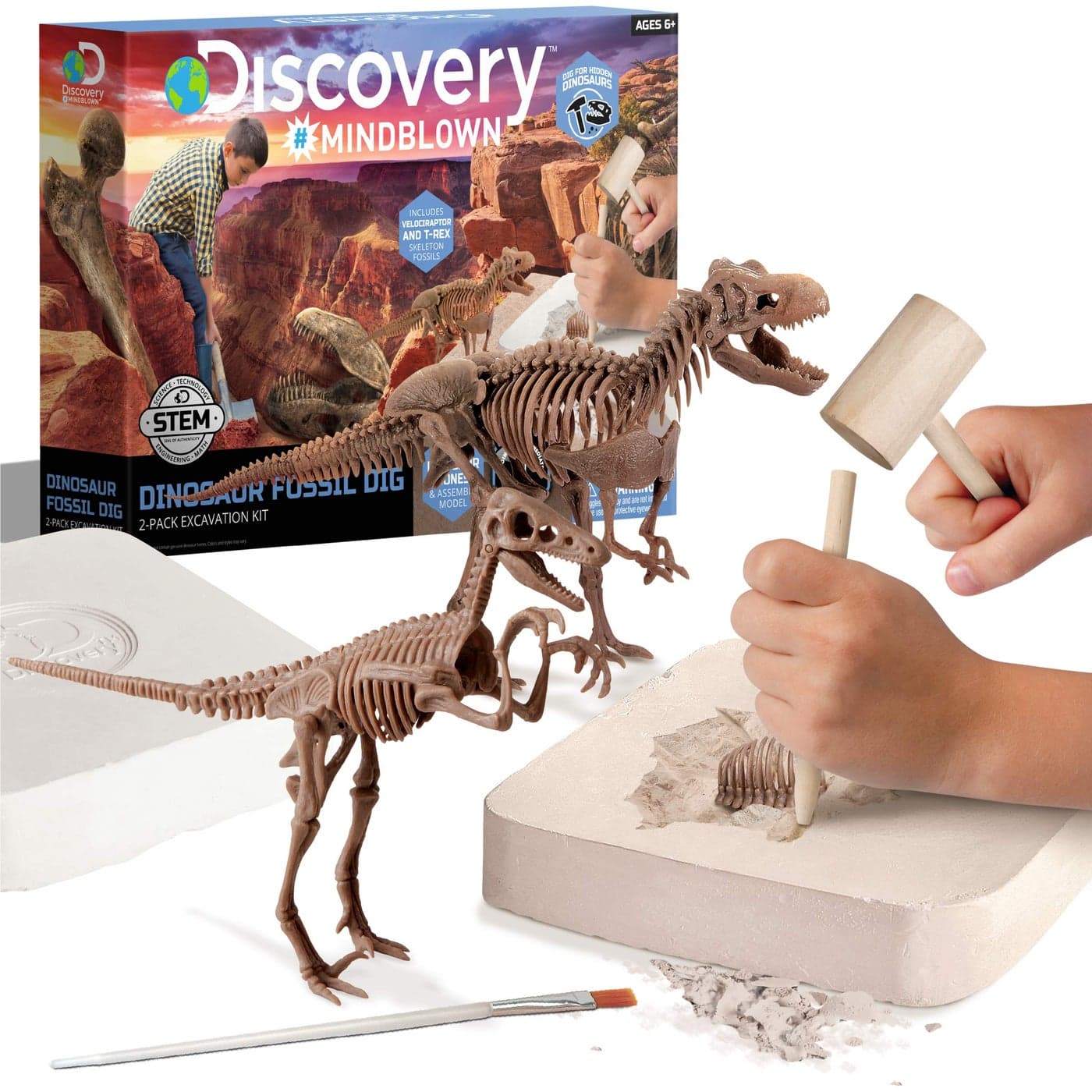Discovery Dinosaur Fossil Dig Kit Excavate Assemble TRex Velociraptor Skeletons 3D Dino Bones Puzzles Jurassic Paleontology Toy for Kids STEM Science Activity Set Girls Boys Gift Ages 6