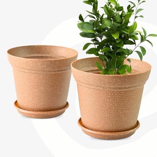 Eha Set of 2 Earth-Friendly Aura 10 Inch pots and Planters | Bamboo Based | UV Protected | for Indoor, Home Decor, Outdoor, Balcony & Garden | Tortilla