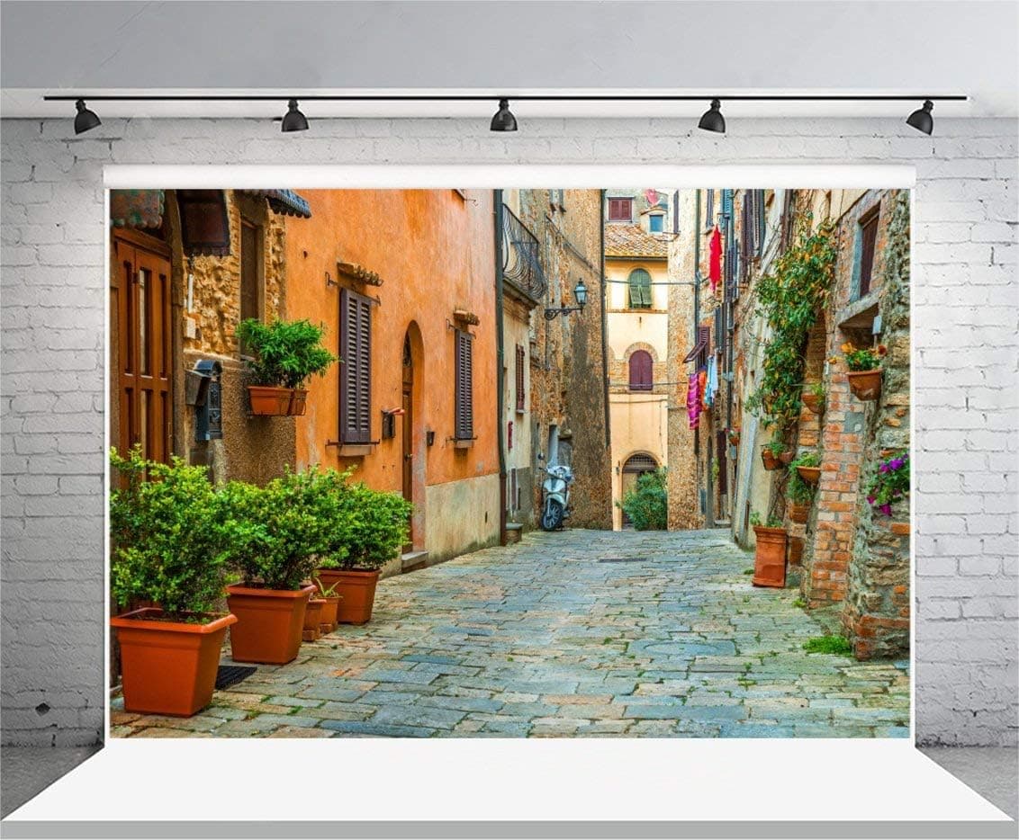 Laeacco 10x65ft Italy Old Town Small Narrow Alley Street Landscape Backdrop European Building Green Vine Italian Style Backdrop Travel Theme Birthday Party Photo Studio Prop Festival Room Decoration