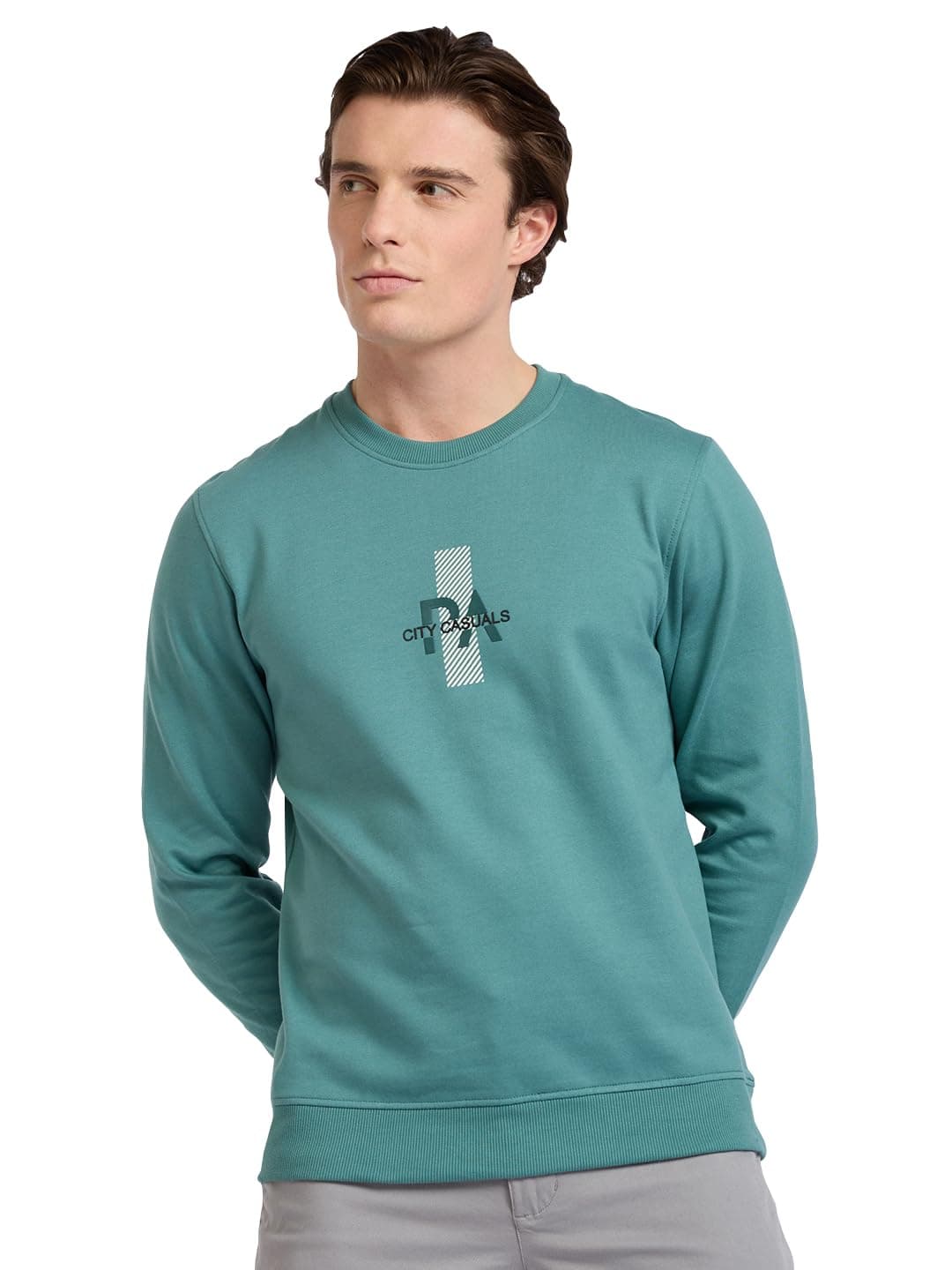 Park Avenue Men Full Sleeve Slim Fit Print Pattern Cotton Polyester Blend Regular Neck Casual Sweatshirt