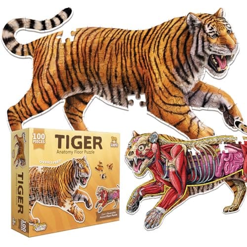 Tiger Animal Anatomy Floor Puzzle 100Piece Double Sided Jigsaw Puzzle LargeSized Over 3 Feet Scientifically Accurate Illustration Fun and Educational Toy for Kids Toddlers and Families