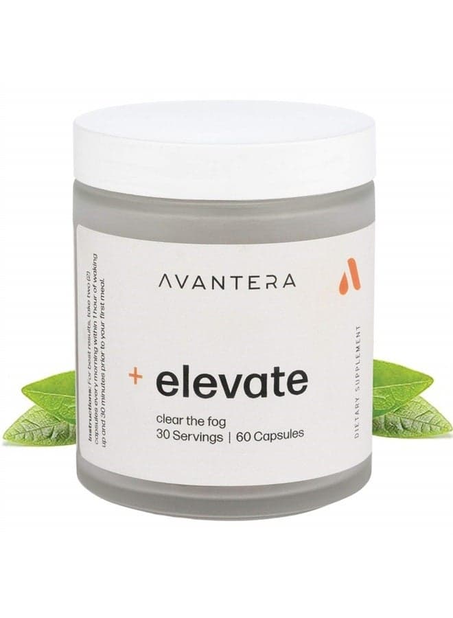 Premium Nootropic, Elevate | Energy, Focus, Mood, & Gut Health | 30 Day Supply