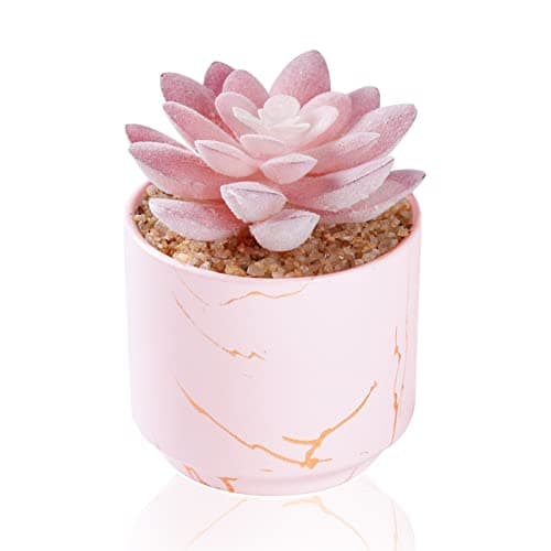 ZENIDA Succulent Artificial Plants,Cute Fake Succulents in 1 Pink Ceramic Pots,Small Fake Plants for Office,Table,Desk,Bathroom, Bedroom,Aesthetic Room Shelves Decor,Desk Decorations for Women Office
