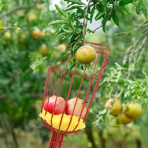 TrustBasket Fruit Picker-Gardening Metal Fruit Picker (Orange)