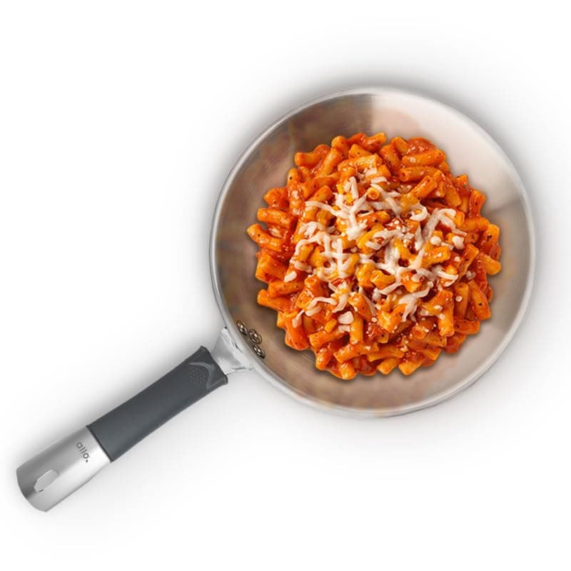 Allo Stainless Steel Triply Fry Pan/Skillet for Curry/Stir-Fry/Deep-Fry/DryVeg/Saut/Cooking Induction Friendly, Naturally Non-Stick with Handle Steel Pan | 10 Years Warranty, 26cm, 2.5 litres