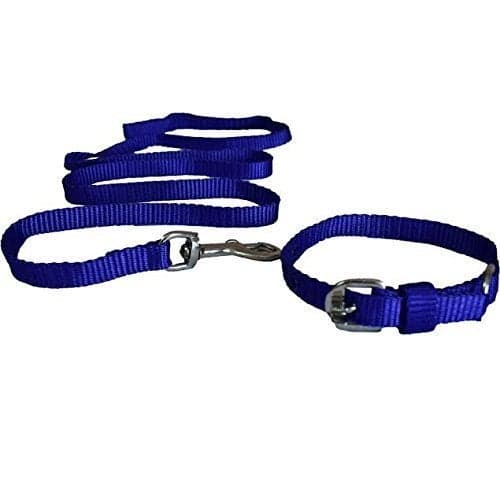 The DDS Store Puppy Cat Leash with Collar Set (Small)-Color May Vary