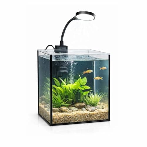 LYPHARD AQUARIUMS Mini Aquarium Set Fish Tank Shrimp Tank Snails Tank Planted Tank 1.2 Gallon Aquarium Kit, Small Desktop Fish Tank for Small Aquatic Pets for Beginner