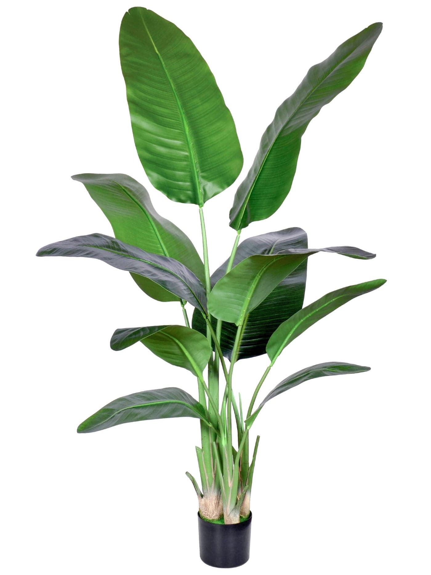 HAIHONG Artificial Bird of Paradise PlantFaux Palm Tree Potted Plant with Real Touch LeavesFake Trees for Home Living Room Office Indoor Outdoor Decor5FT1Pack