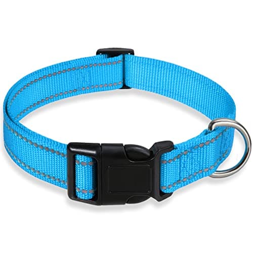 Reflective Dog Collar with Buckle Adjustable Safety Nylon Collars for Small Medium Large Dogs, Blue L