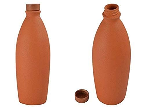 The Satyam Craft Kasana ClayTerracotta Water BottleSet of 2