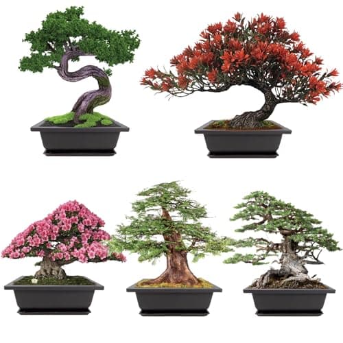 Meekear Growing into Blue Spruce, Dawn Redwood, Flame Tree, Judas Tree, Indoor Outdoor Home Gardening DIY Gifts