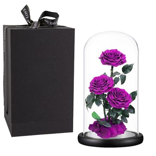 Purple Roses Handmade Rose in Glass Dome, Preserved Flowers Never Withered, Birthday Gifts for Women (13 inch)
